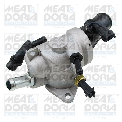 Thermostat, coolant